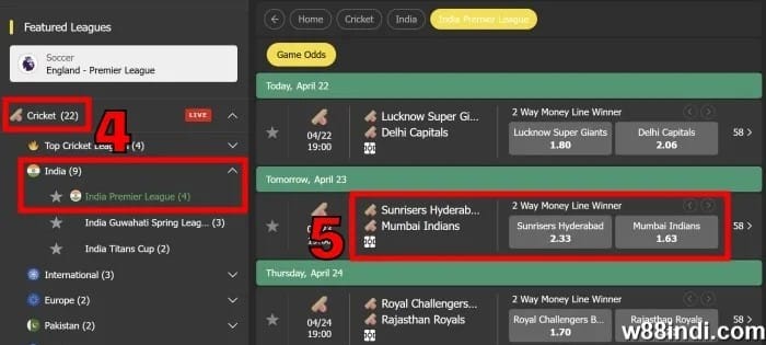 คริกเก็ต Ipl เดิมพันนําขั้นตอนที่ เ พิ่มหาคู่คริกเก็ต
